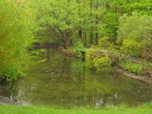 April- Stone Crop Gardens Trip pic 5