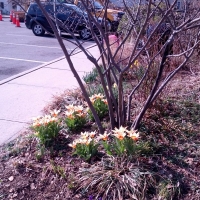 April- Spring Cleanings