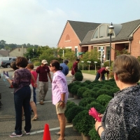 September- Mum Sale